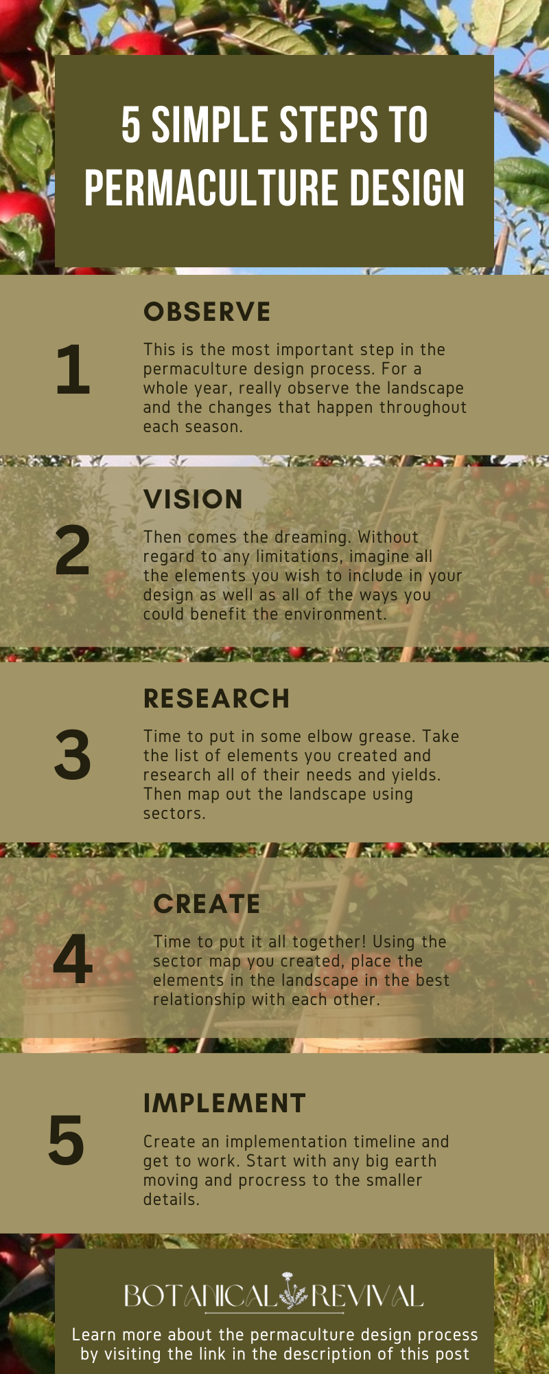 The Permaculture Design Process: A Complete How-to Guide